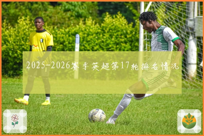 2025-2026赛季英超第17轮排名情况